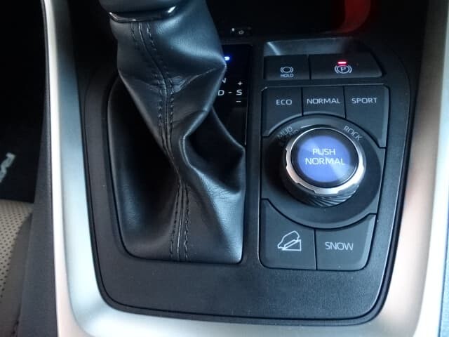 2019 Toyota RAV4 image
